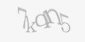 Защитный код