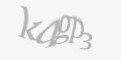 Защитный код
