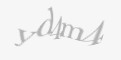 Защитный код